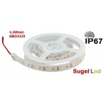 Tira LED 5 mts Flexible 24W 300 Led SMD 3528 IP67 Blanco Frío, serie Profesional Tira LED 5 mts Flexible 24W 300 Led SMD 3528 IP67 Blanco Frío, serie Profesional